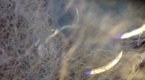 surface-active agent