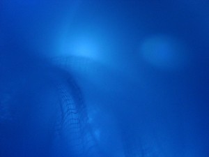 minimal audible fields